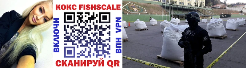 Купить закладки  Чита  COCAIN Fish Scale 