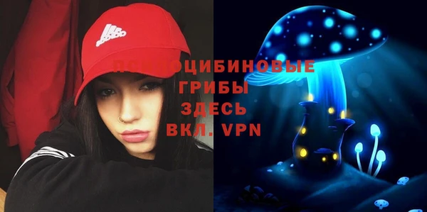 крисы Алексин
