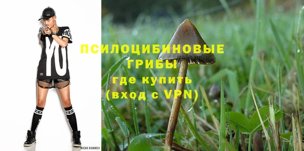 apvp Алексеевка